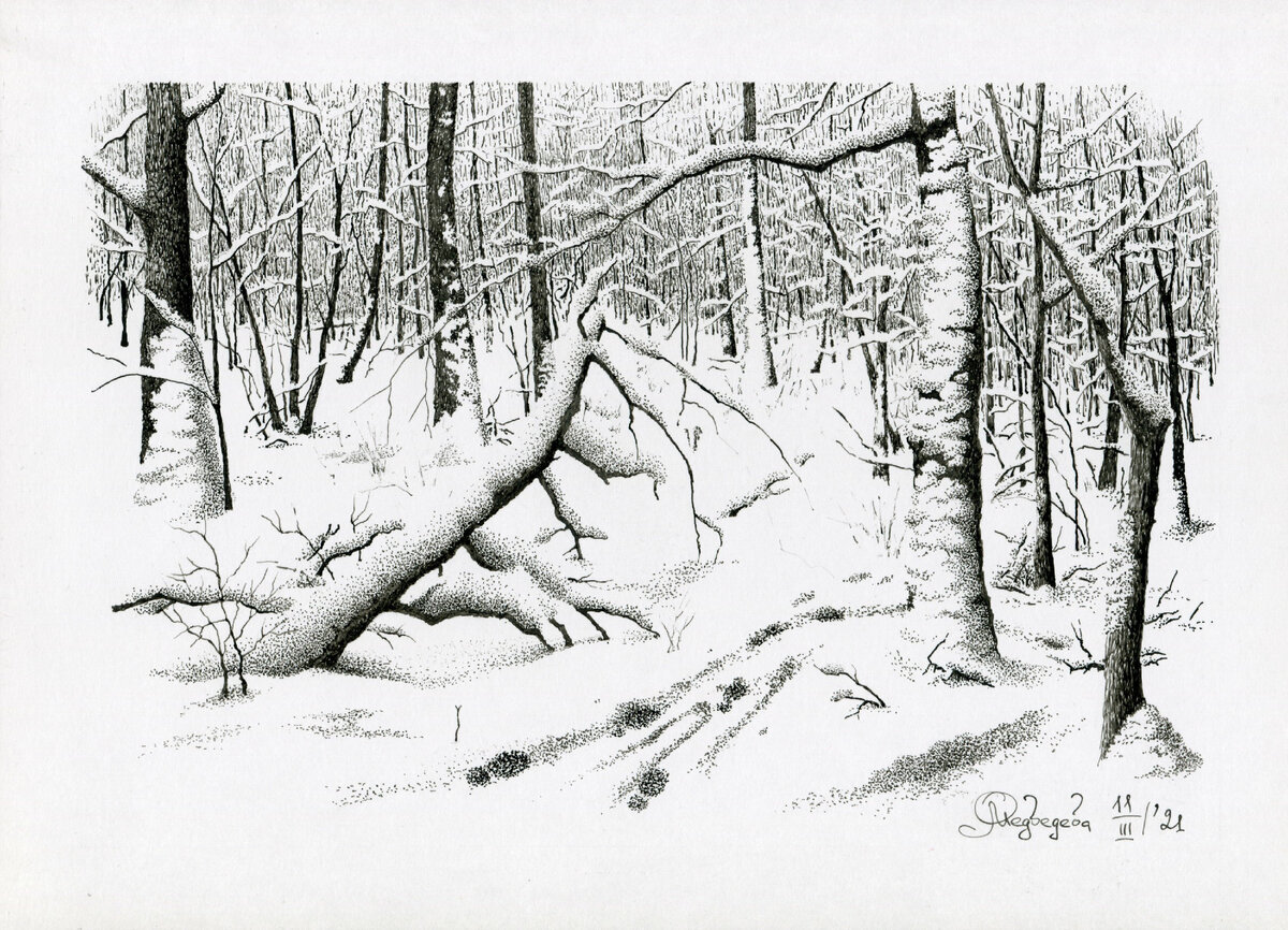 Зимний лес. Бумага, тушь, перо. Ольга Медведева. 2021 г.