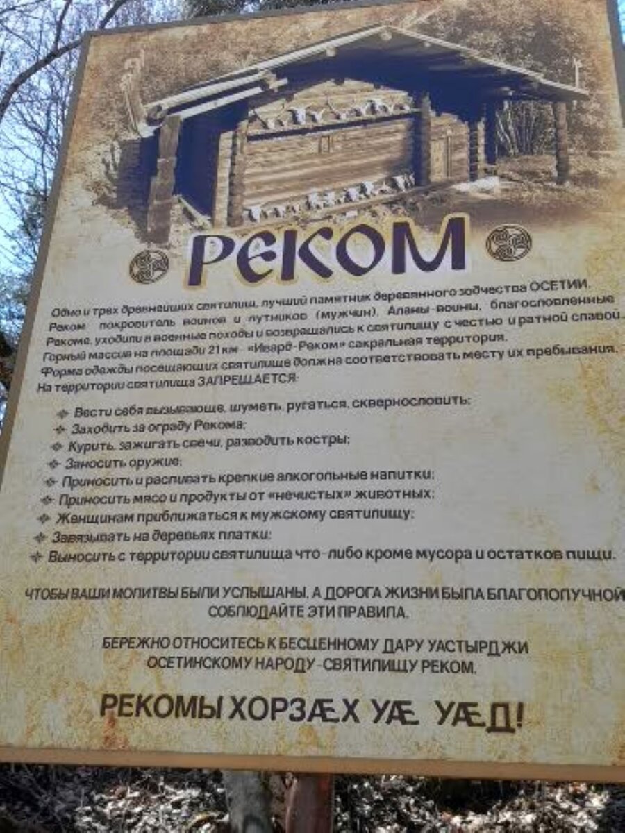 фото автора, плакат