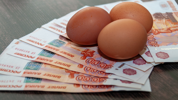 SVETLANA VOZMILOVA/GLOBAL LOOK PRESS/GLOBALLOOKPRESS 