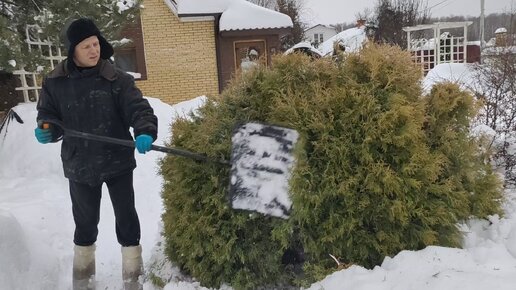 Готовим сад к оттепели и ледяному дождю!