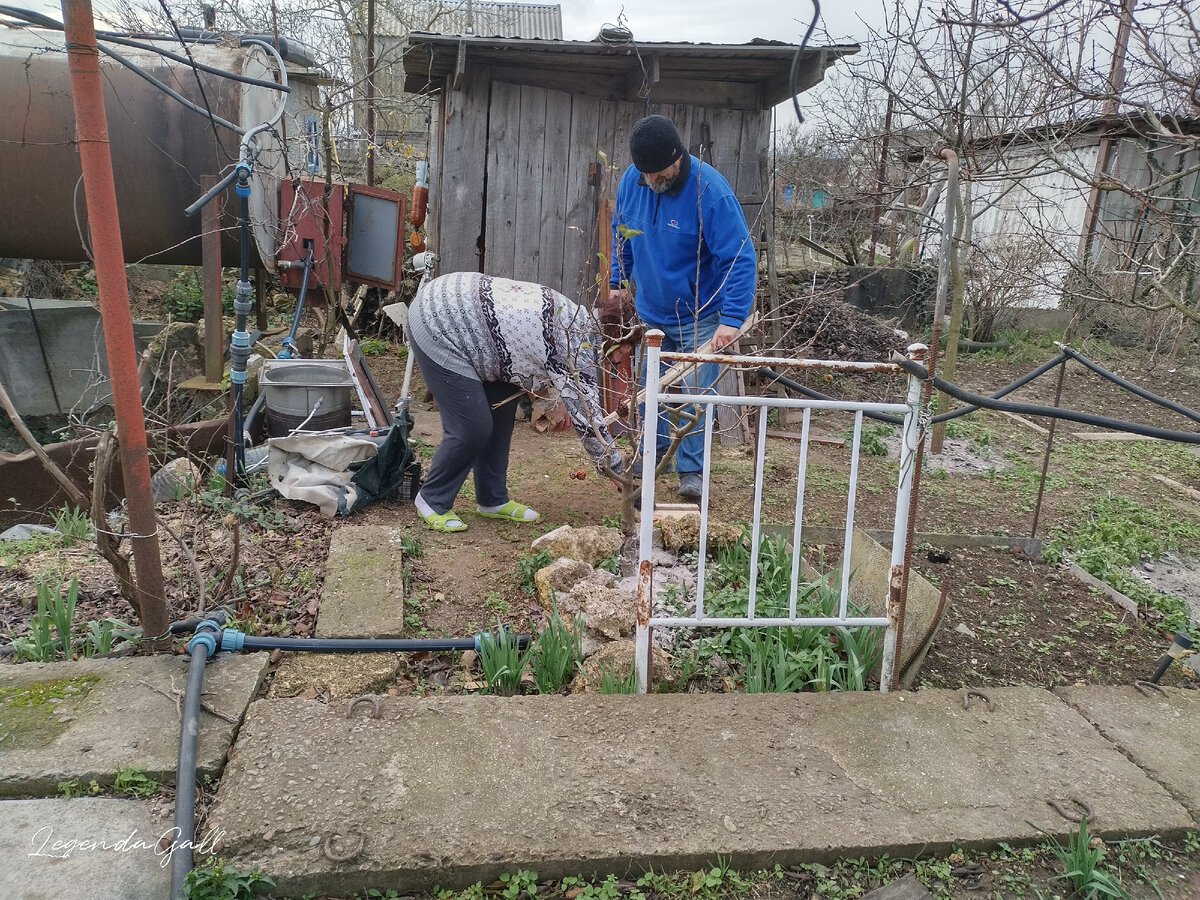 Таскам-таскам...