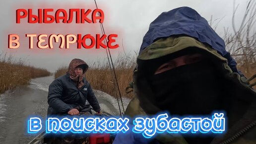 ТЕМРЮКСКИЕ ЛИМАНЫ/РЫБАЛКА В ТЕМРЮКЕ/ЭТО ТЕБЕ НЕ НА 