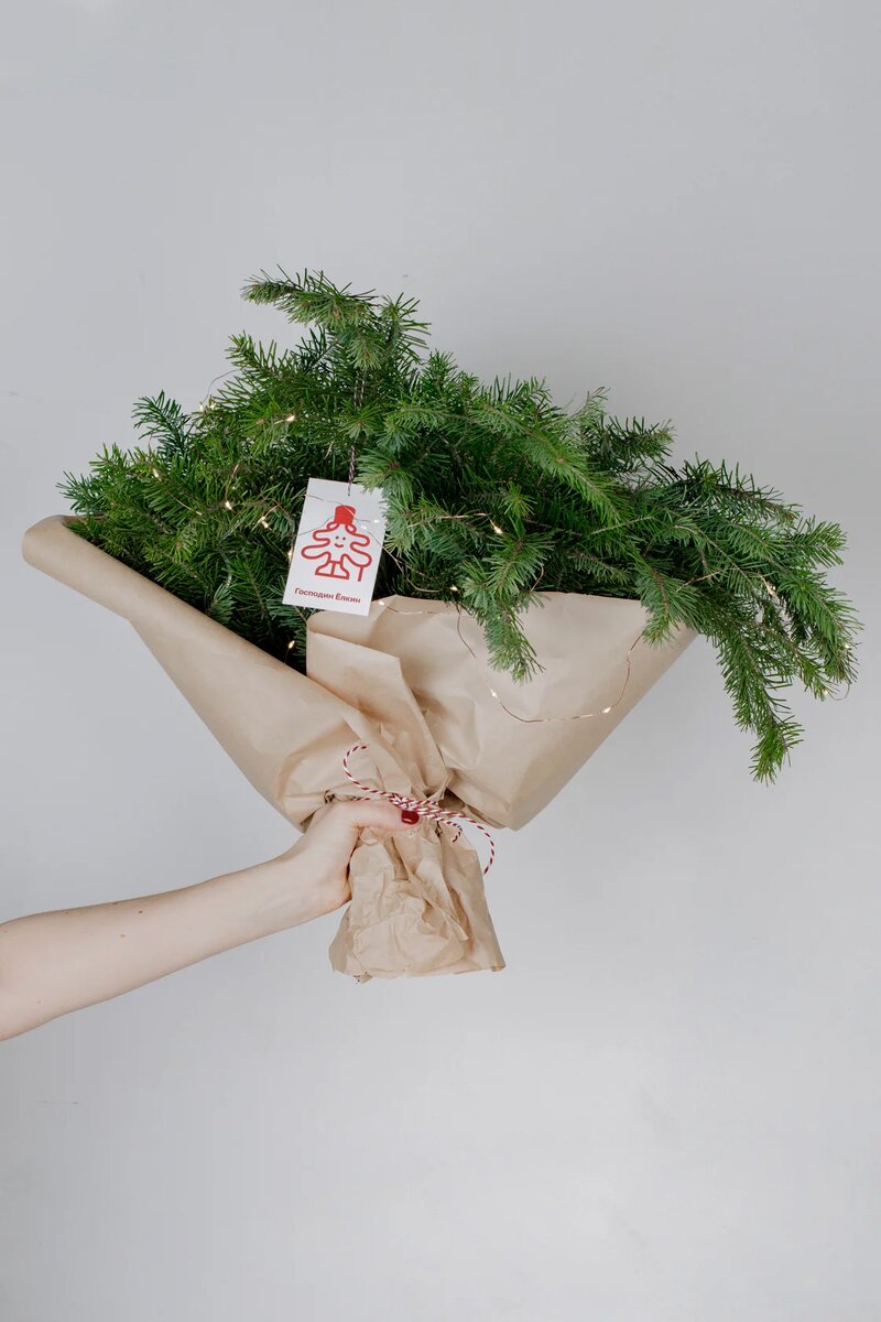 Лапник из пихнут - 690руб