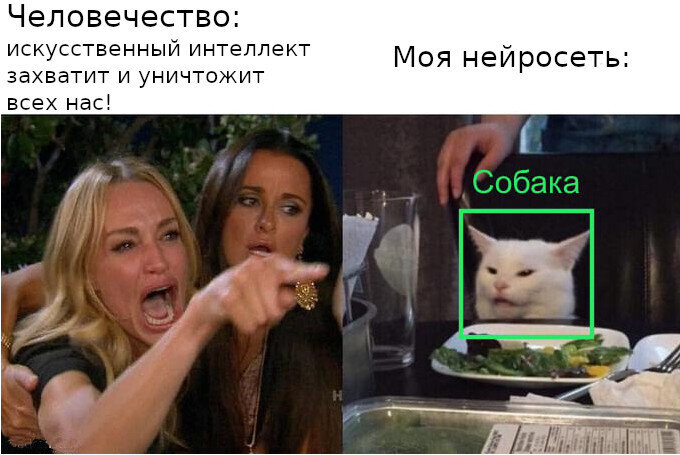 Мем китайский кот с ии