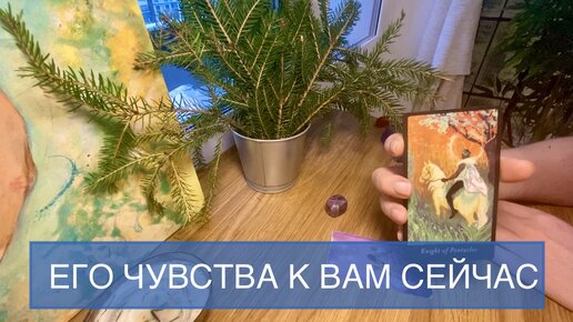 💥Основное чувство партнёра к вам на данный момент ❤️