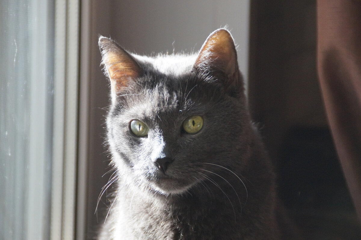 Возможно, вы поняли, о ком речь