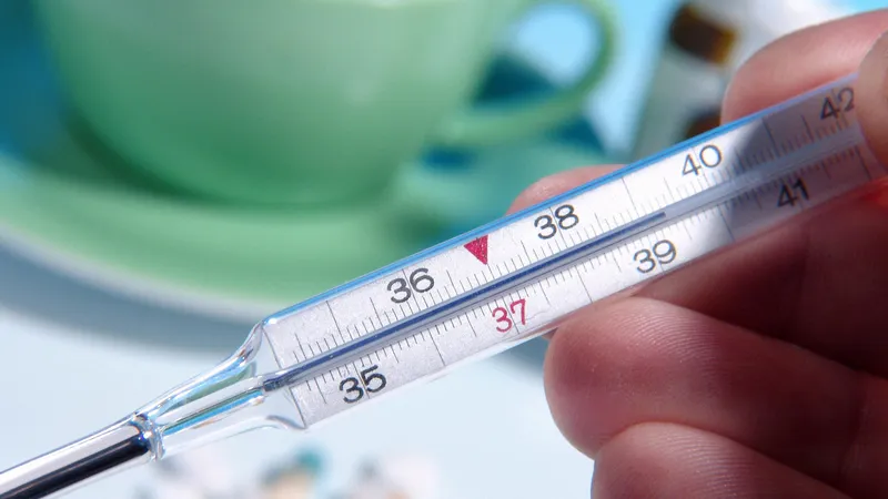    © CHROMORANGE / Bilderbox/globallookpress.com