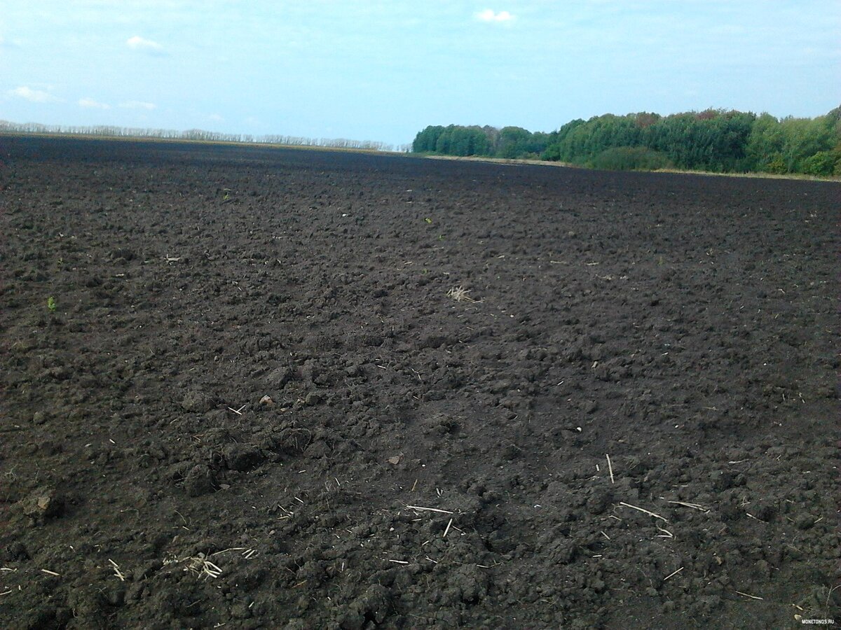 На распаханно поле видны фундаменты