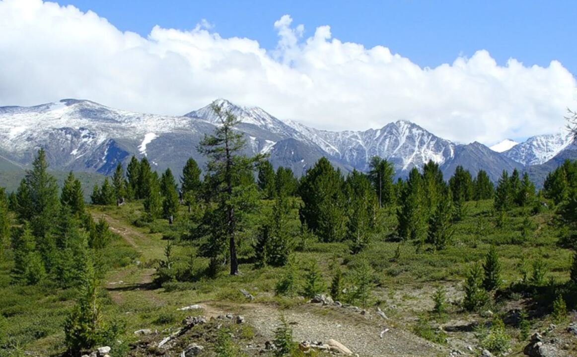 Республика алтай на алтайском языке. Улаганский перевал Алтай. Улаганский тракт горный Алтай. Горы Акташ горный Алтай. Перевал Улаганский горный.