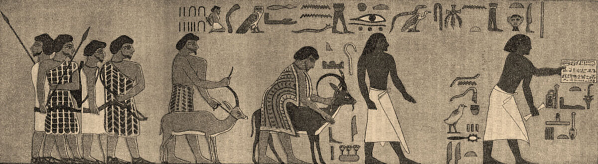 изображение из открытого источника https://wikidocumentaries-demo.wmcloud.org