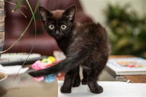 Фото из Интернета.