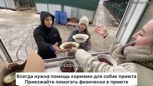 Приют «Щербинка». Проект помощи животным Собака Юзао. 89055523195 ...