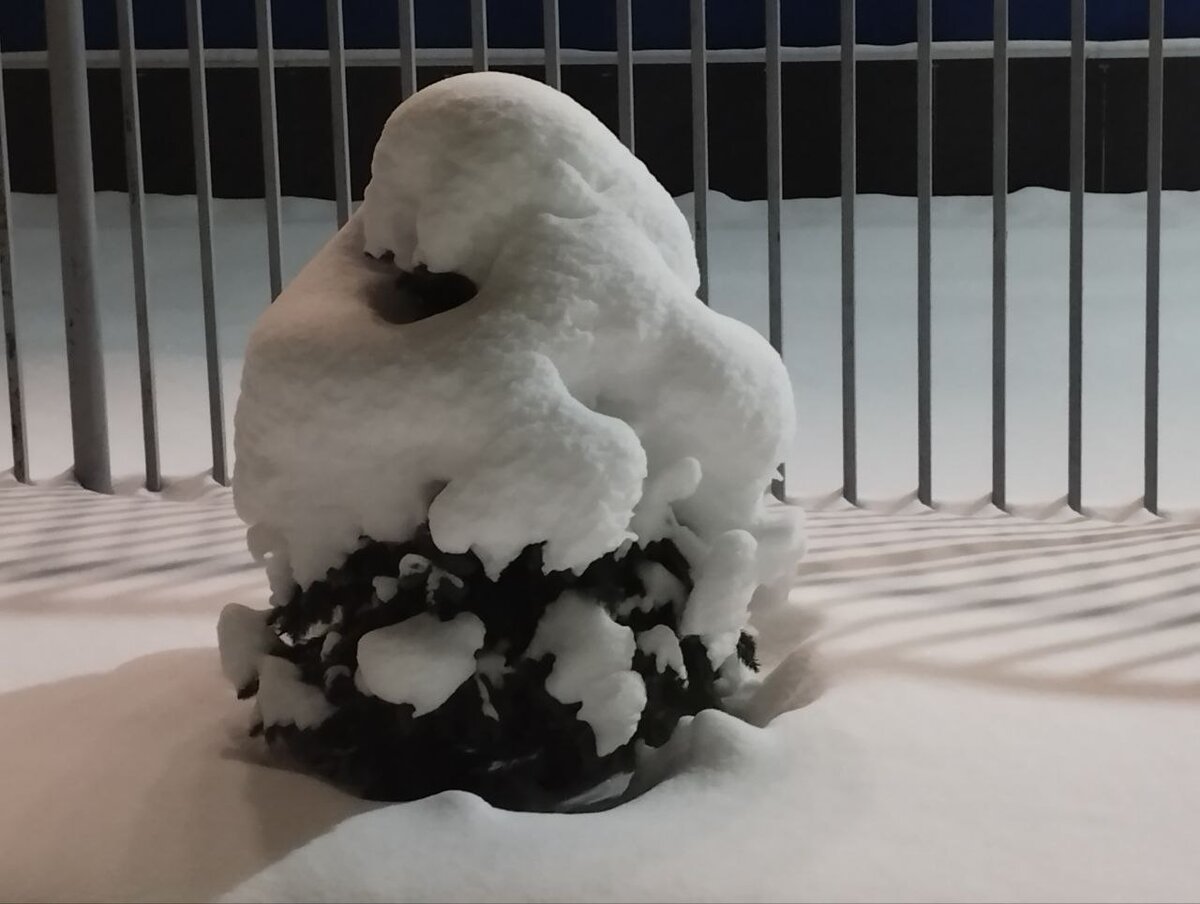 Милая ёлочка!