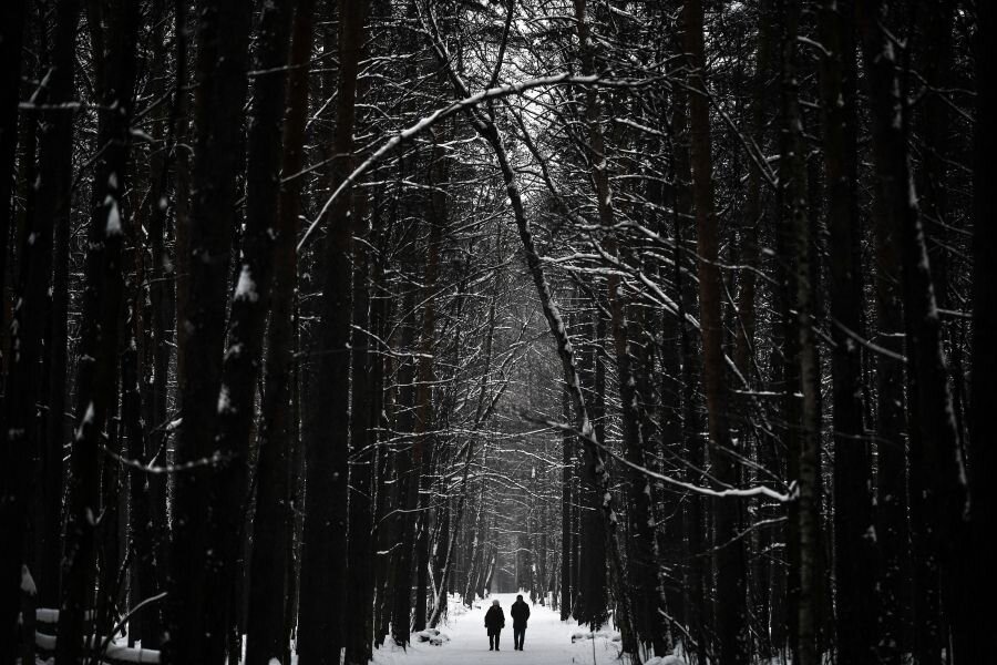    © Владимир Астапкович /РИА Новости