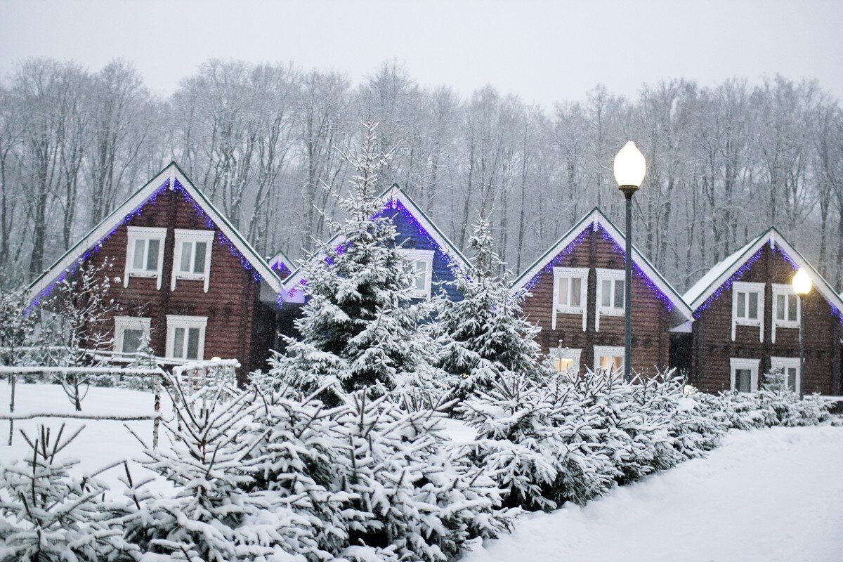 Зимний отдых в подмосковье в лесу. Царьград отель Серпухов. Отель Царьград Серпуховский район. Курорт-отель «Царьград» в Пущино. Царьград Протвино.