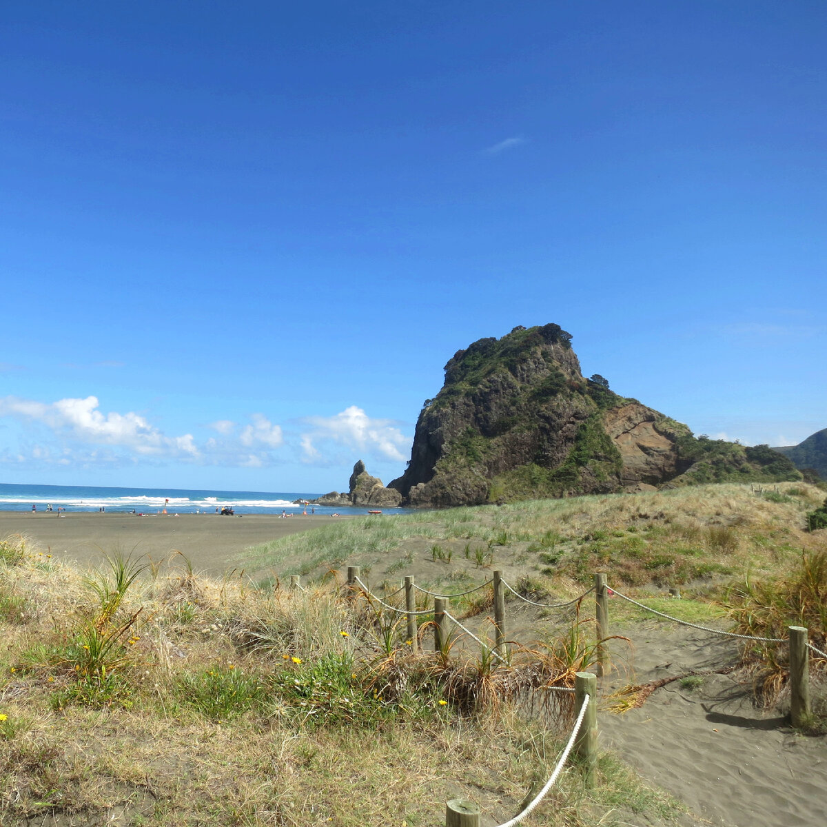 Piha Beach (Пиха бич): дорога к пляжу