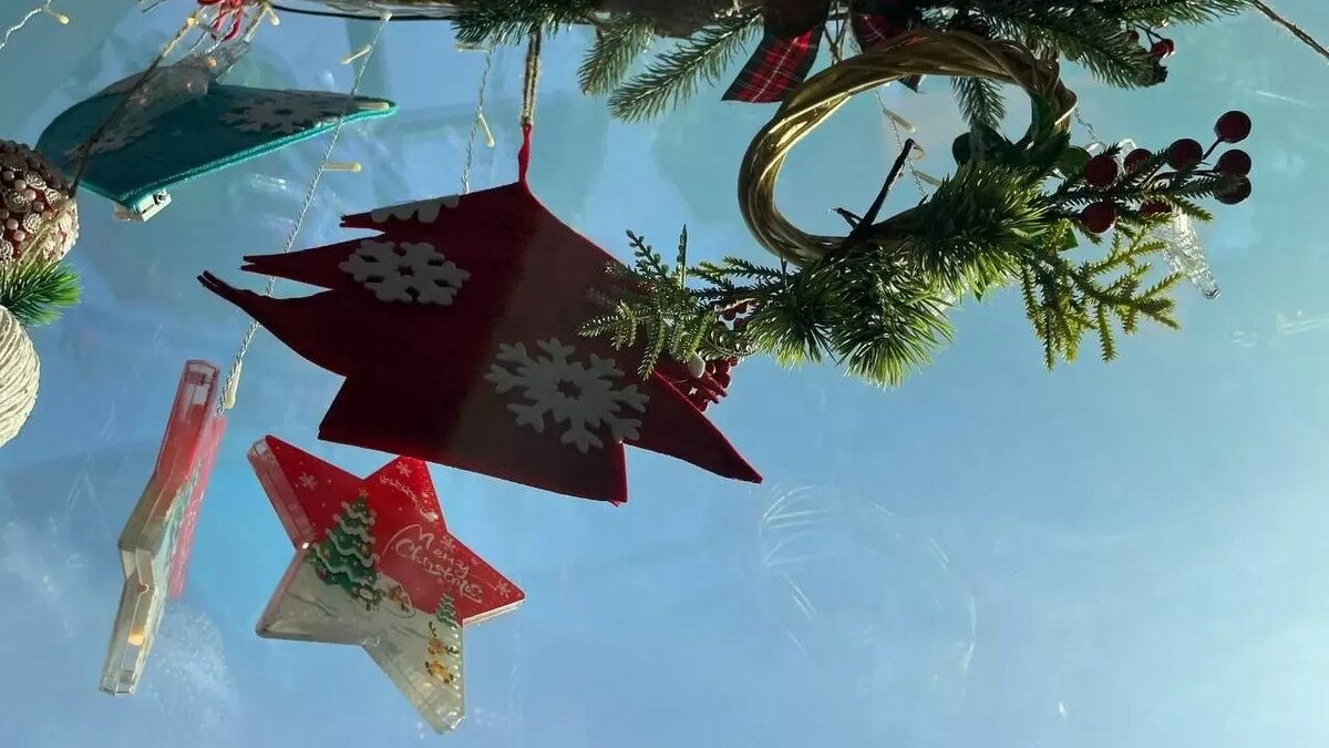     В Каменске-Шахтинском Ростовской области неизвестные украли с елки все украшения, видео с хулиганами опубликовал Telegram-канал Don Mash.