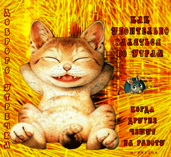 https://fonwall.ru/postcard/cat-good-morning-animation-good-morning-funny-gifs/