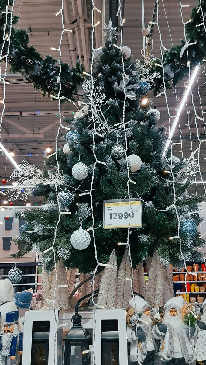 Елочки и Дедушки Морозы, 2 ноября 2023