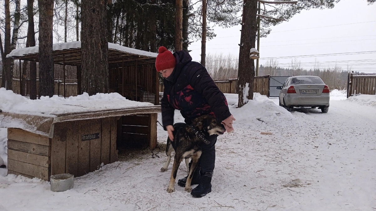 это так называемые "собачьи обнимашки". 