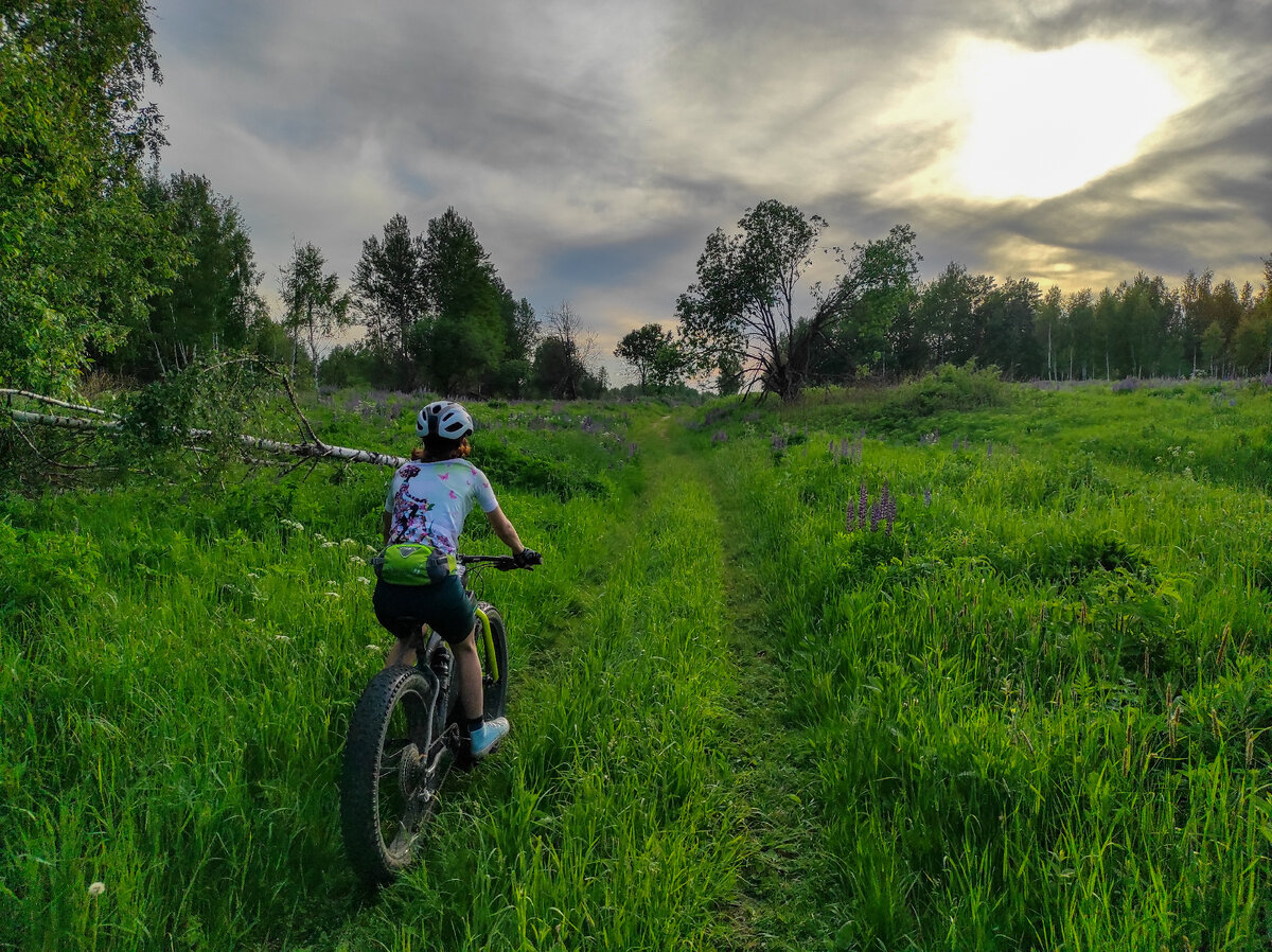 Хорошая дорога