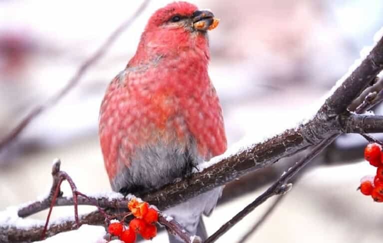    Фото Светланы Магарилл. Опубликовано в паблике Нескучный Советский на сайте ВКонтакте
