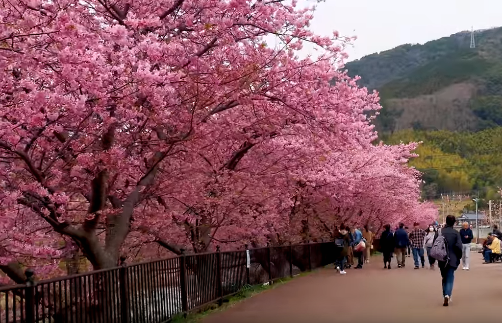 ханами оне. ханами оне. ханами оне. стиль ханами. ханами 1598.
