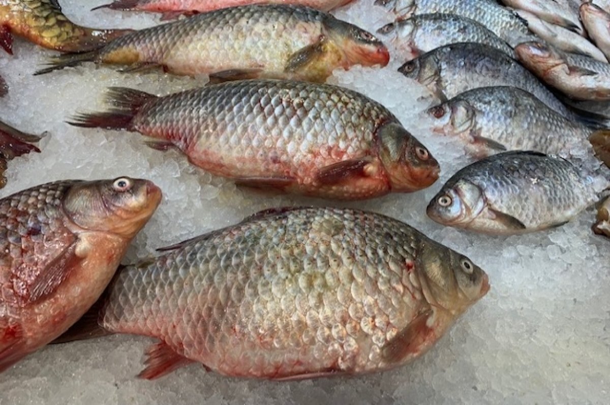    Больше рыбы и морепродуктов стали отправлять на экспорт из Хабкрая в Китай