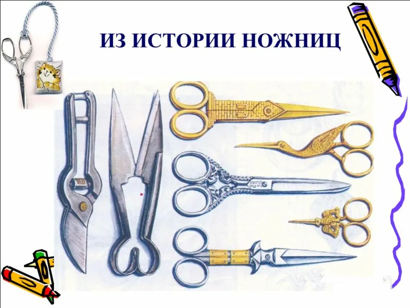 Источник: https://uso.sakhalin.gov.ru/rodnik/?author=1&paged=40