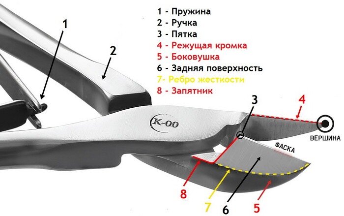 Рассмотрите рисунок и ответьте на вопросы кусачки инструмент для разрезания