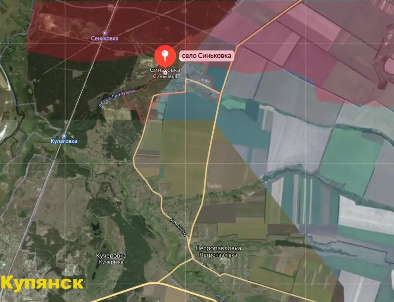 Синьковка декабрь 2025. Синьковка.
