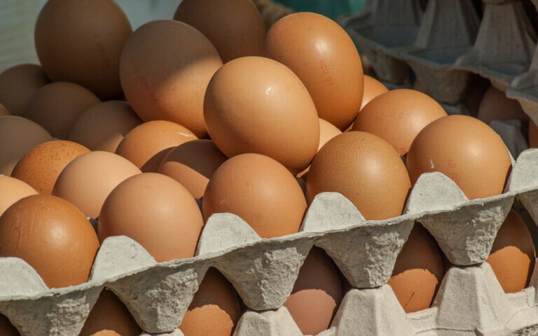    Стало известно, когда подешевеют яйца. В минсельхозе РФ сообщили о закупках в Турции Белов Михаил Александрович