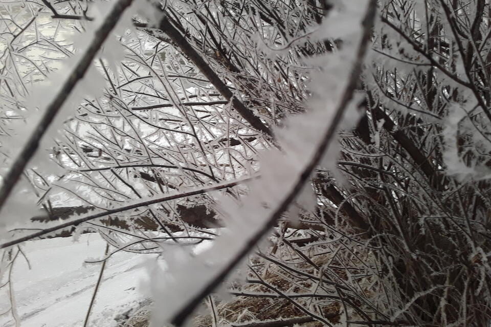 Все живое накрыло морозом. Зима в Забайкалье фото. Аномальные Морозы Ташкент. СШ 16 Забайкалец зимняя фото.