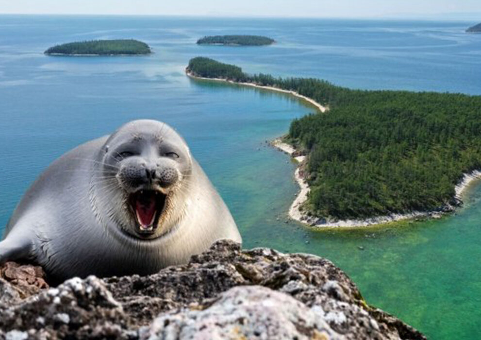 Телеграм-канал Алексея Цыденова. Байкальские Ушканьи Острова в заняли первое место в премии "Russian Traveler Awards 2023".