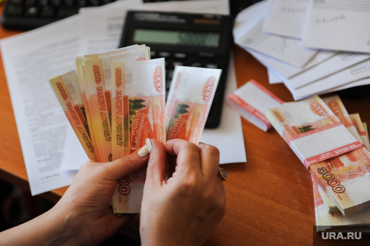    В Лабытнанги бухгалтер похитила у бизнесменов около 10 млн рублей за три года