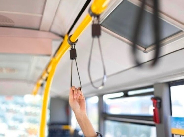     Фото: ru.freepik.com