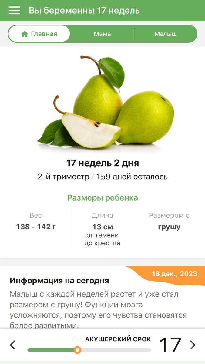 Дневник беременной девятым. Муж провёл ревизию тела, остался доволен ...