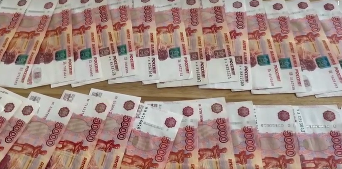 © Стоп-кадр видео МВД по Петербургу и Ленобласти