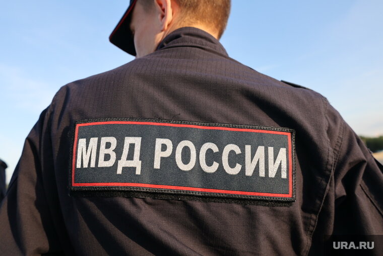    Курганский полицейский получит компенсацию от ударившей его женщины