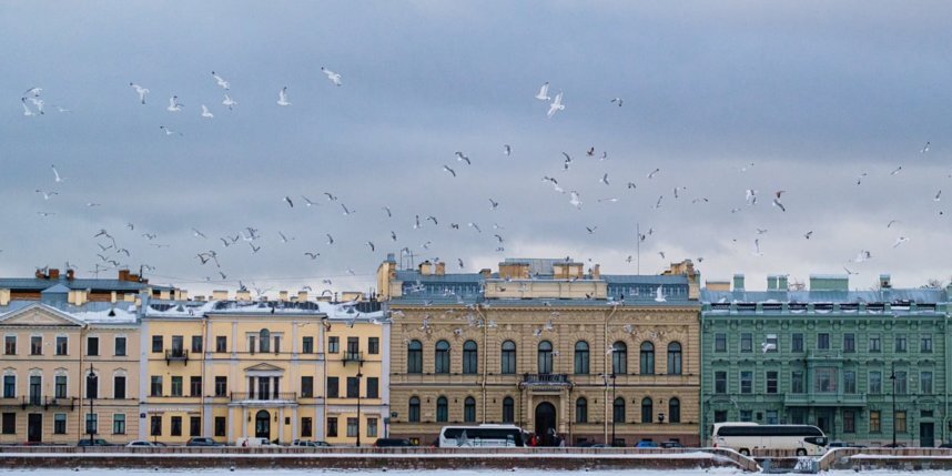    Алёна Бобрович.