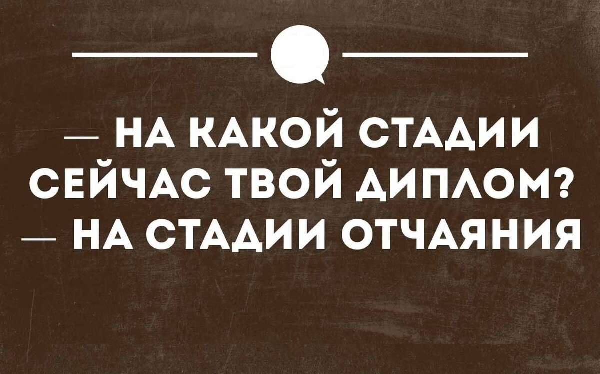 Все виды студенческих работ в вузе: какие бывают и как их написать?✋ |  Университет «Синергия» | Дзен