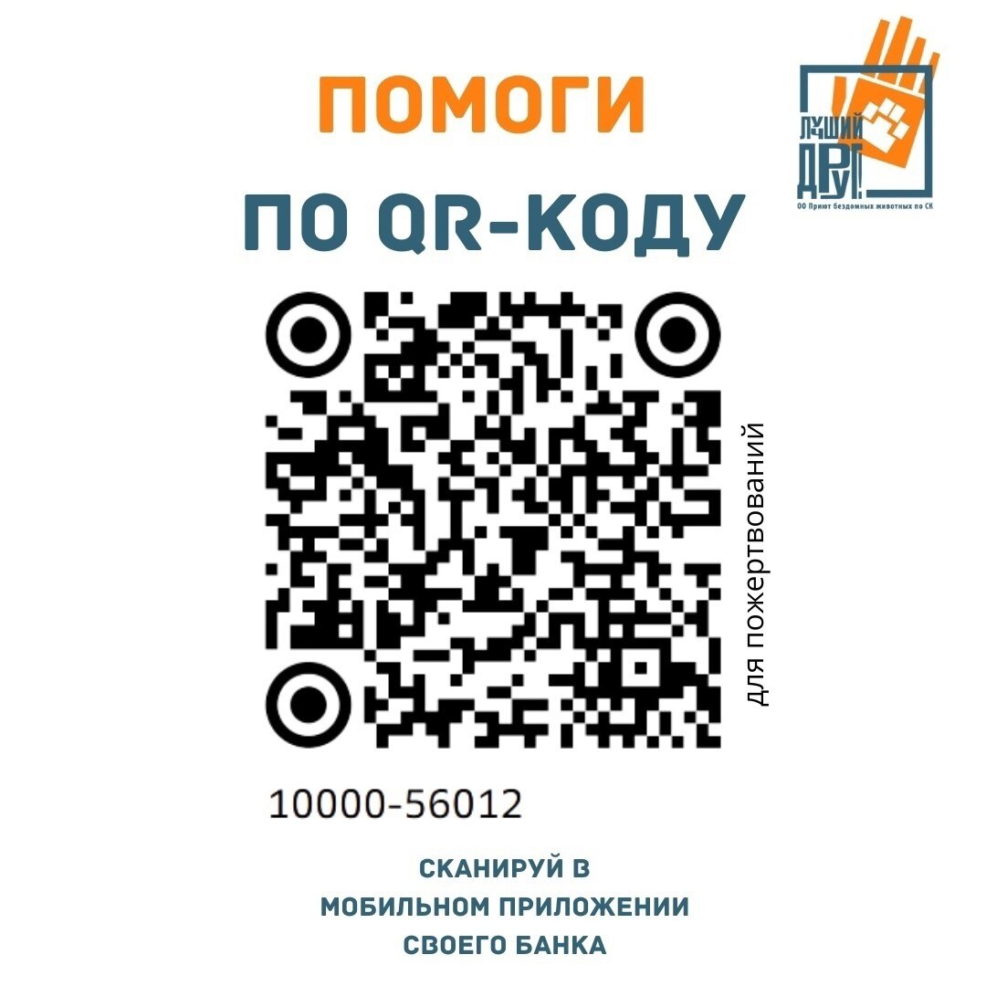 Мы заботимся о чистоте и дезинфекции помещений приюта, клеток, лотков и других не менее важных предметов обихода. Это очень важно для здоровья и хорошего самочувствия наших животных.-1-2