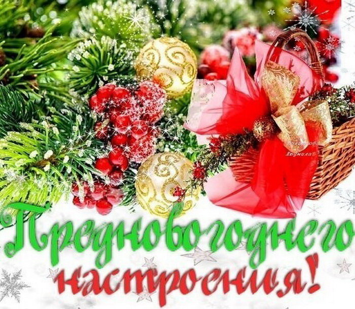 фото из интернета