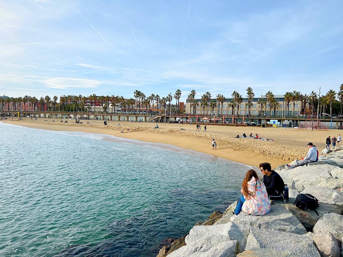 Playa de Barcelona 23 t +23