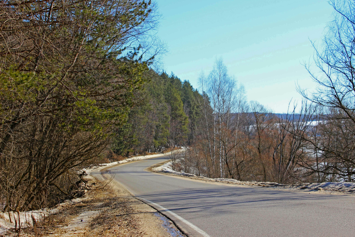 Дорога на дачу. Из архива Елены Романовой