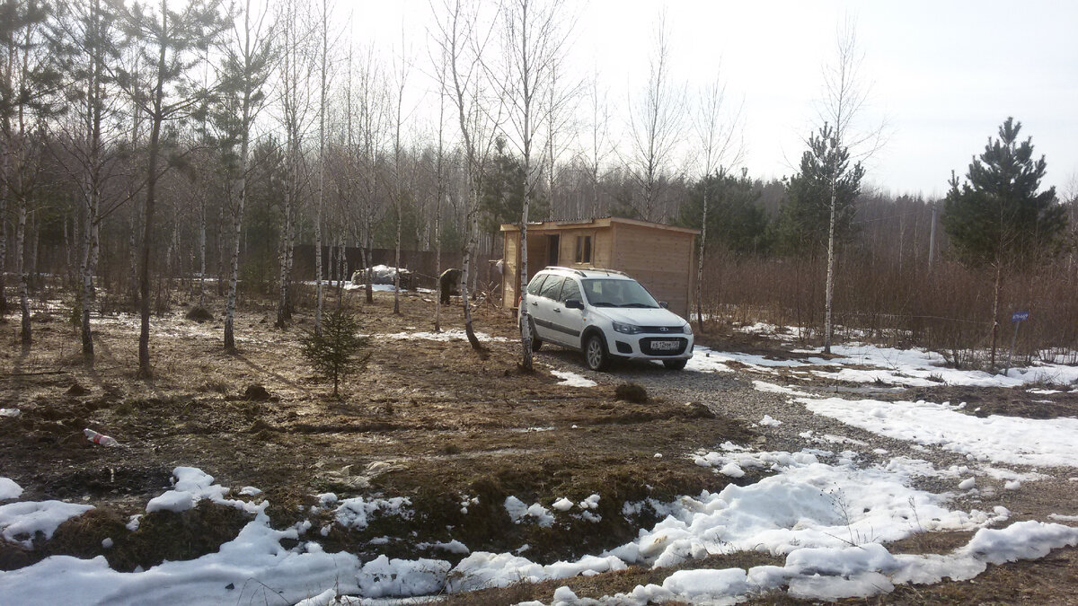 Март 2017 Из архива Елены Романовой