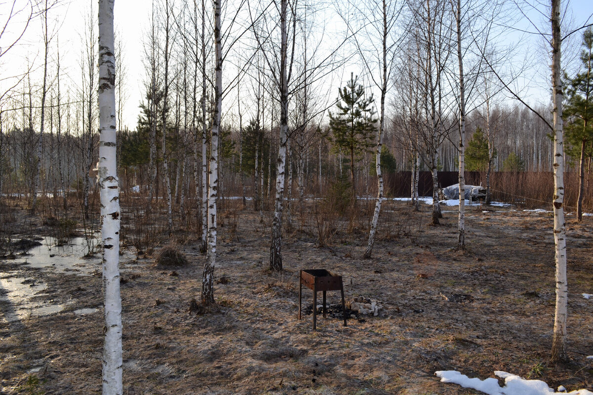 Март 2017 Из архива Елены Романовой