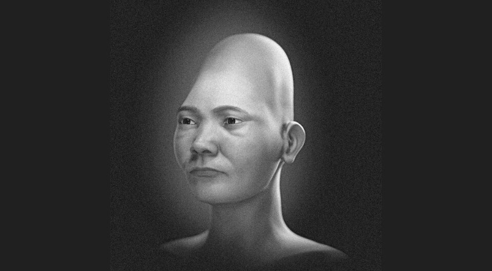   Cicero Moraes et al. / OrtogOnLineMag, 2023
