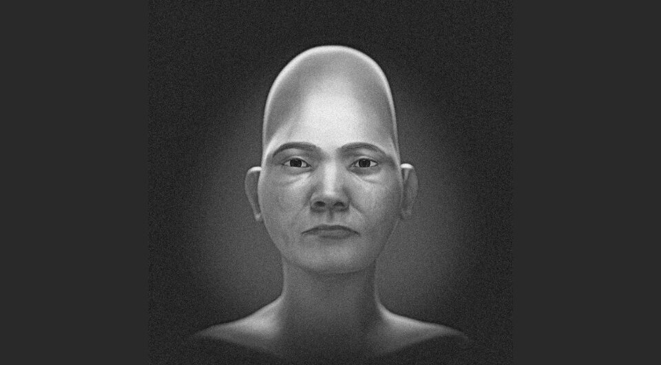   Cicero Moraes et al. / OrtogOnLineMag, 2023