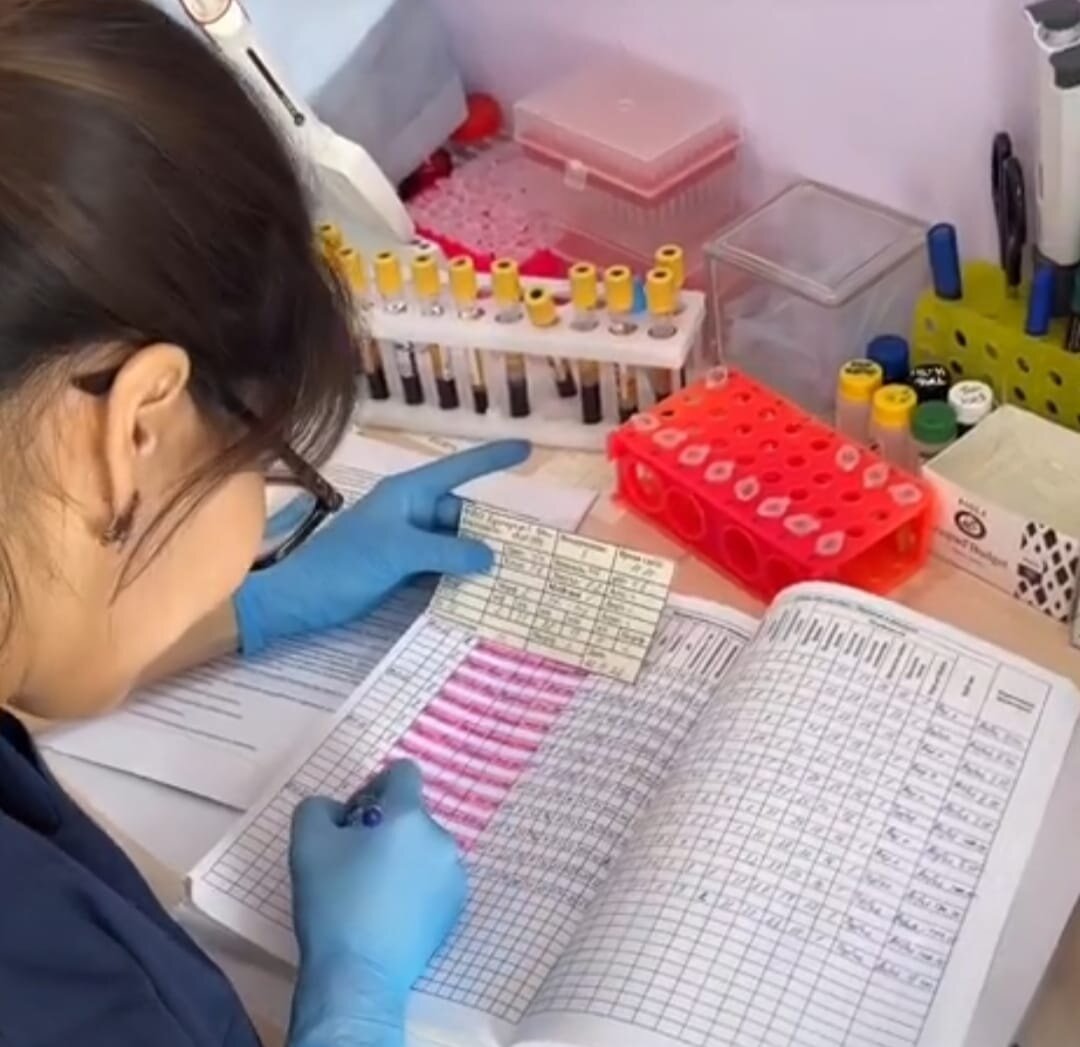 Это процесс описи реестра пациентов, приходившие сдавать анализ спермограммы.